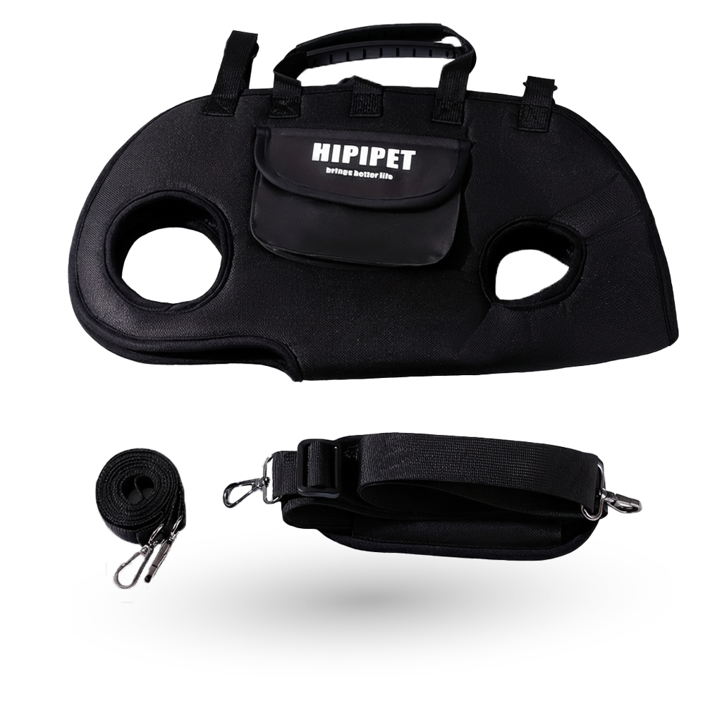 מנשאת נוחות אורטופדית - Sababacarry