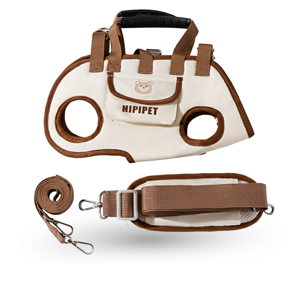 מנשאת נוחות אורטופדית - Sababacarry