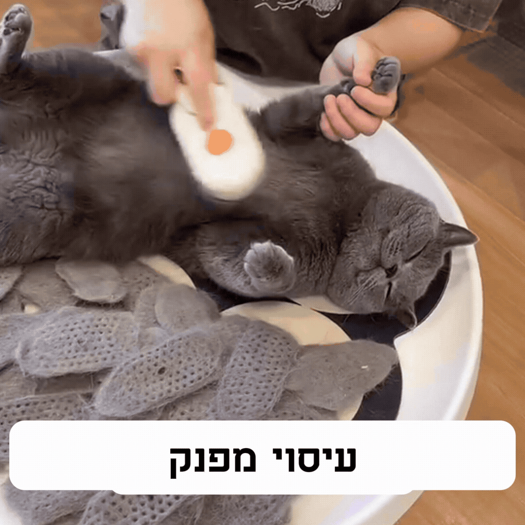 Sababa Steam™ - מברשת האדים סבבה סטים