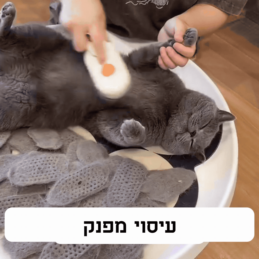 Sababa Steam™ - מברשת האדים סבבה סטים