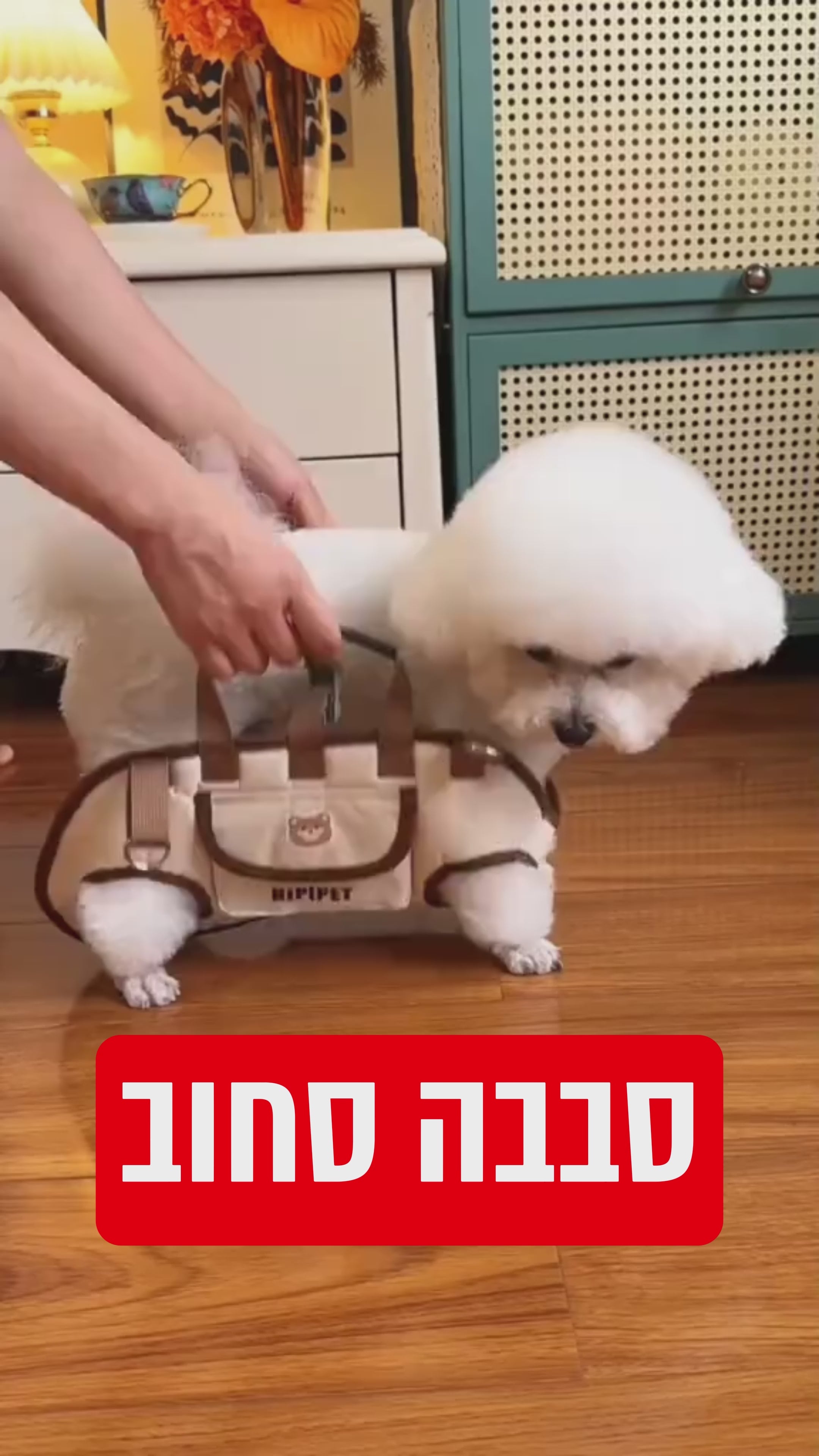 מנשאת נוחות אורטופדית - Sababacarry